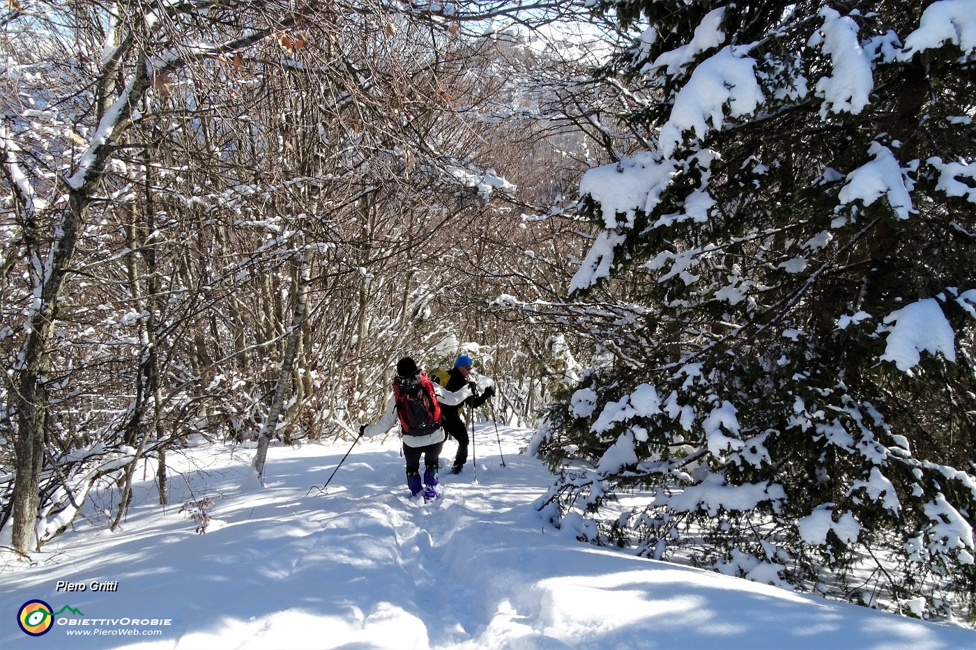 41 In discesa dallo Zuc di Valbona  tracciamo su neve intatta.JPG